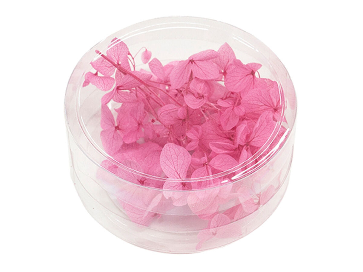 Dried Flower Parts (Hydrangea, Pink)