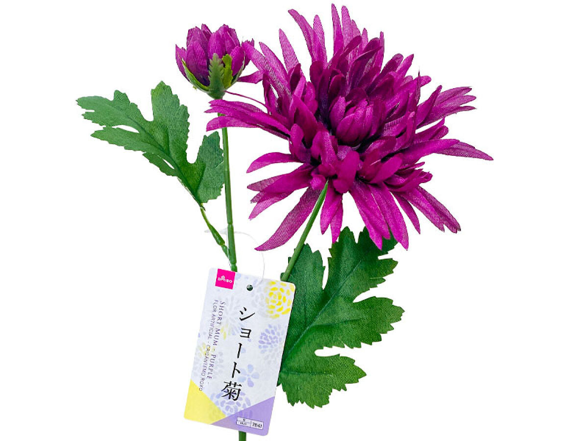 Short Chrysanthemum (Purple)