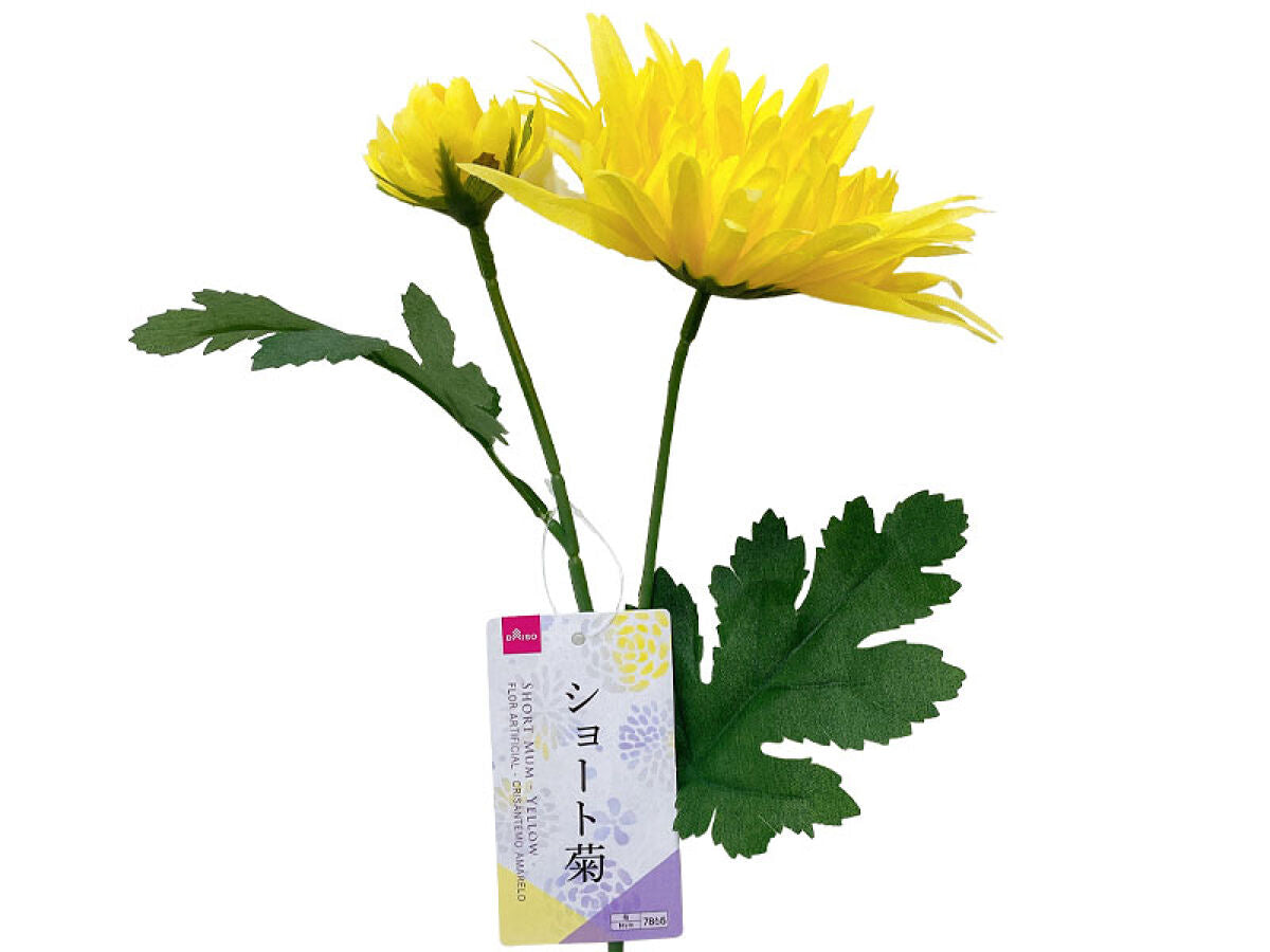 Short Chrysanthemum (Yellow)