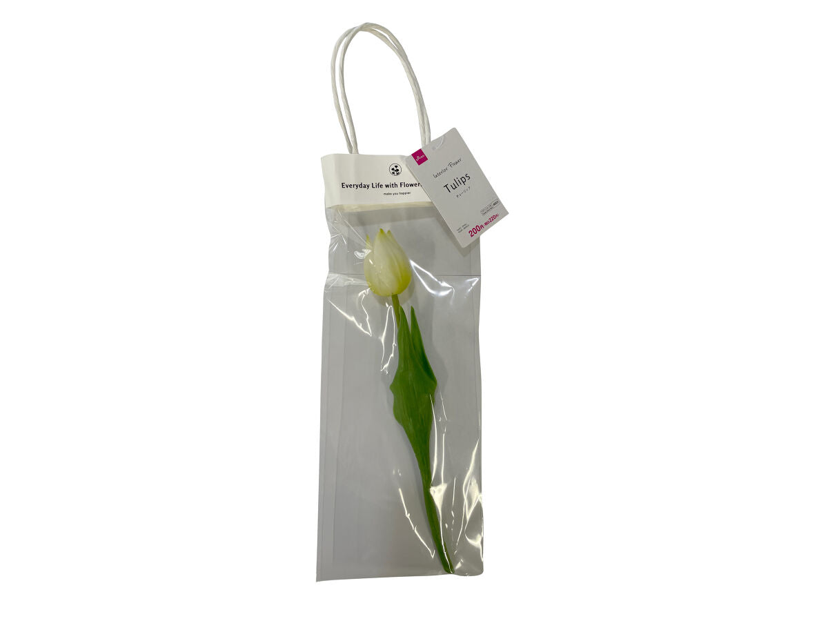 Tulip (White)
