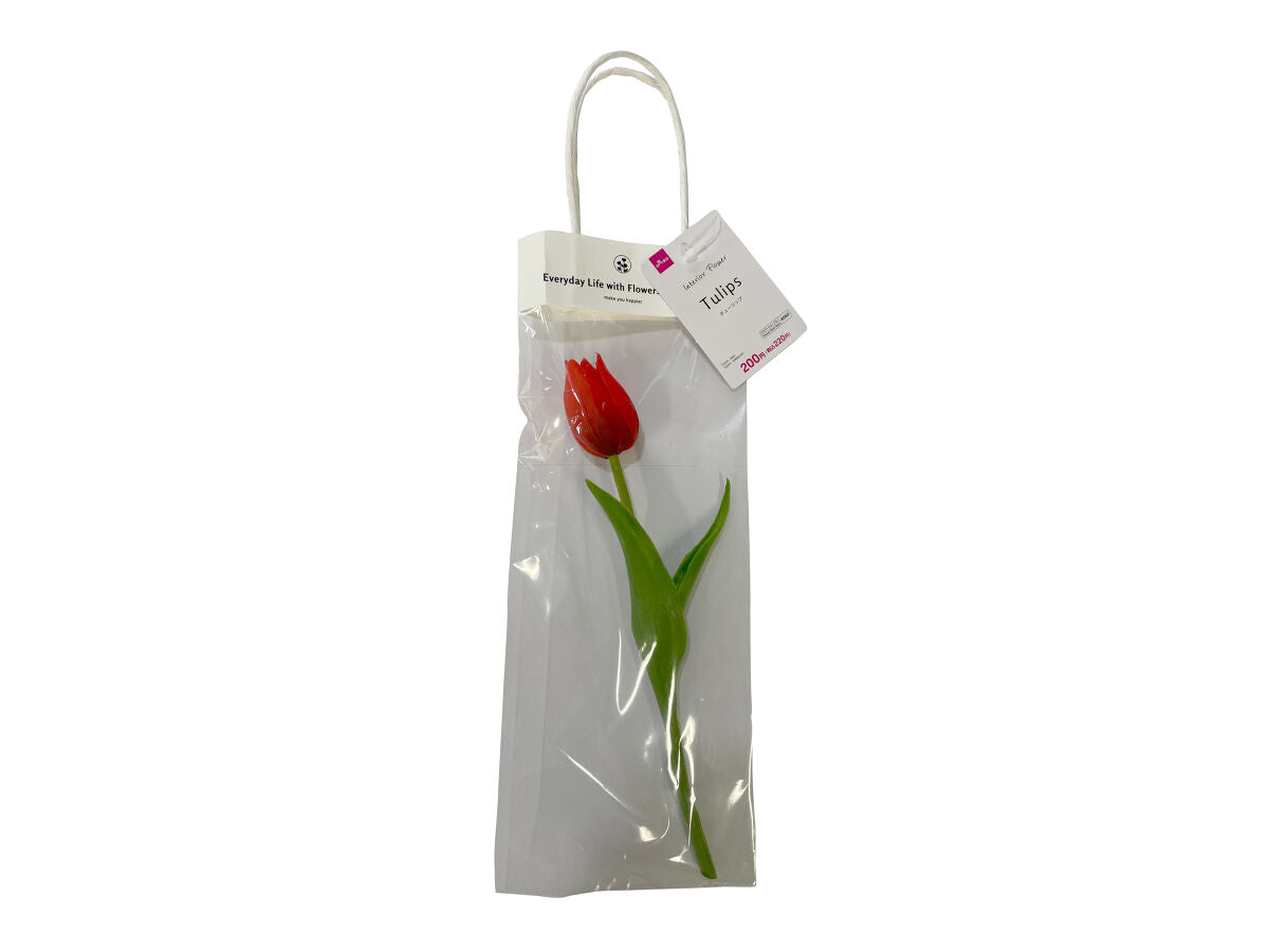 Tulip (Red)