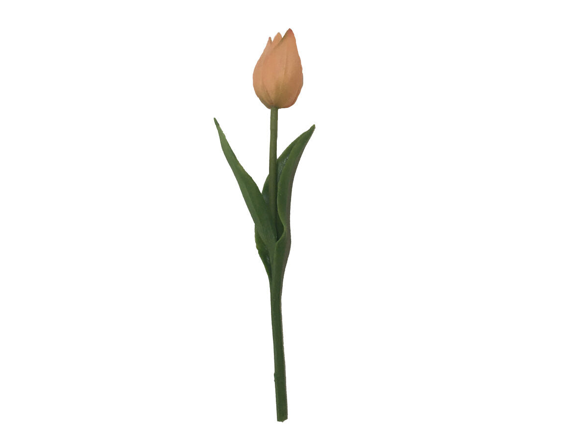 Tulip (Orange)