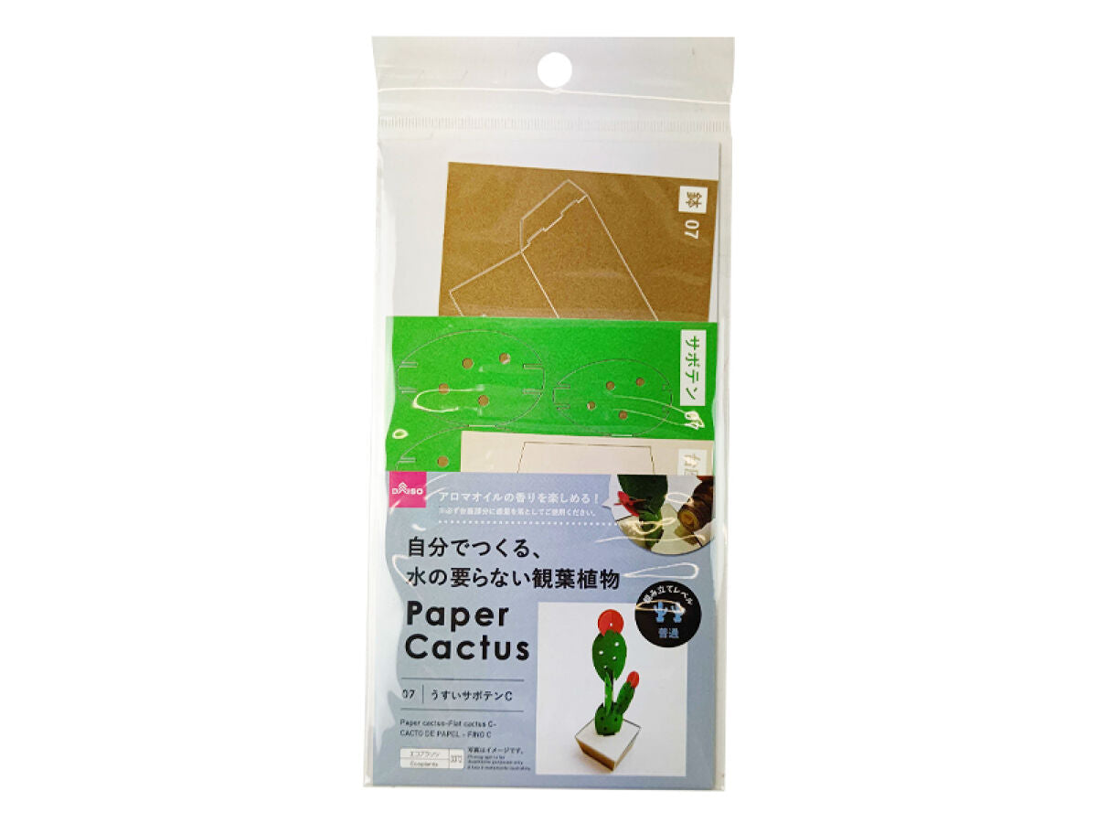 Paper Cactus (Thin Cactus C)