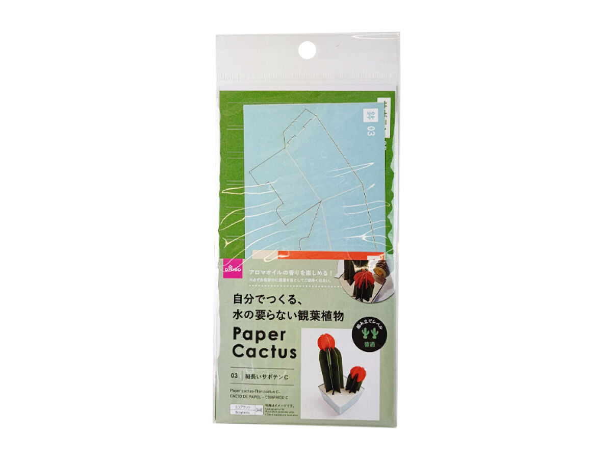 Paper Cactus (Slim Cactus C)