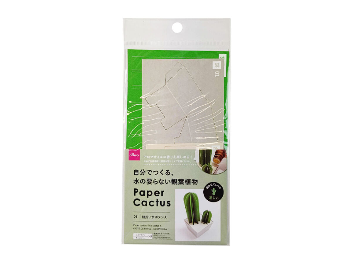 Paper Cactus (Long Cactus A)