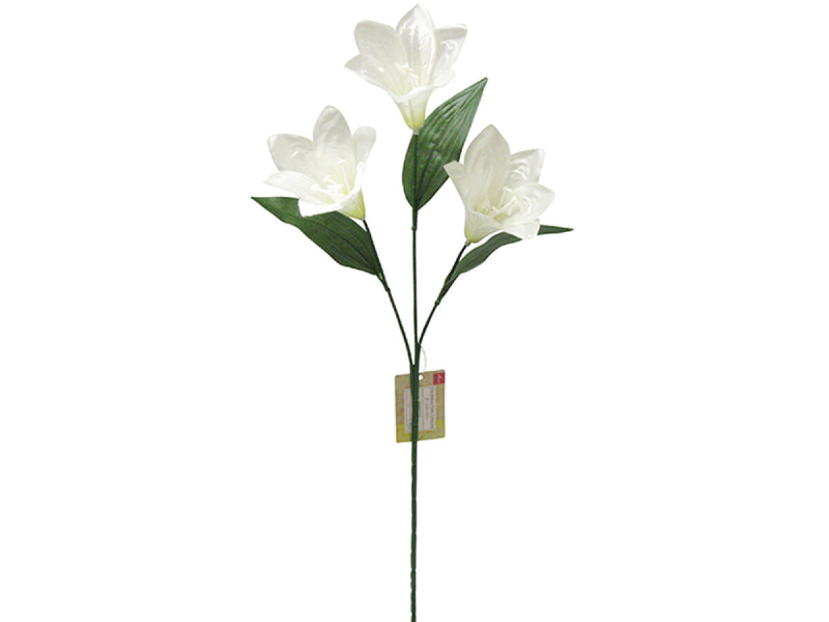 Easter Lily