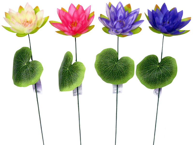 Lotus