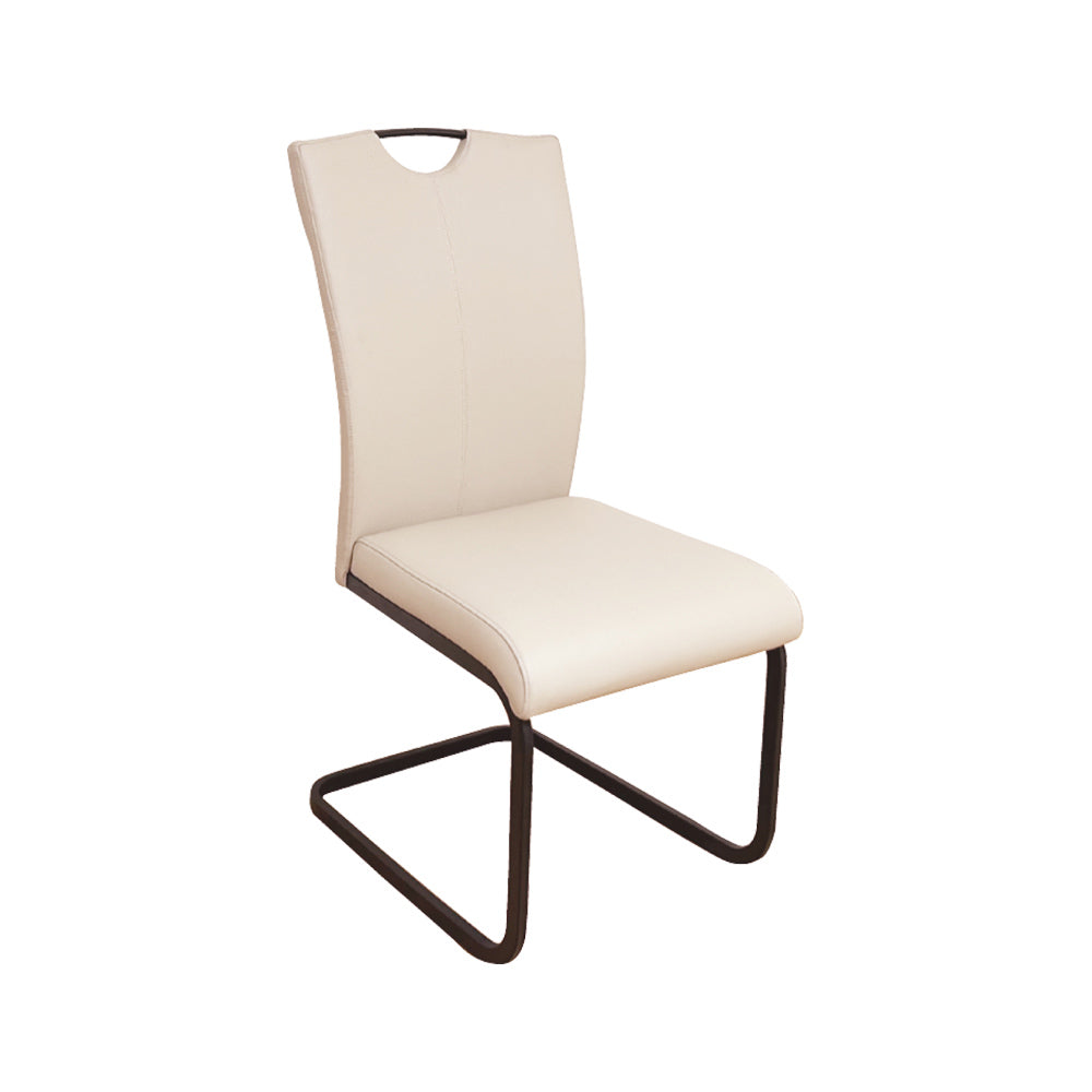 High Back Modern Dining Chair - Set of 2 DCRI-IV