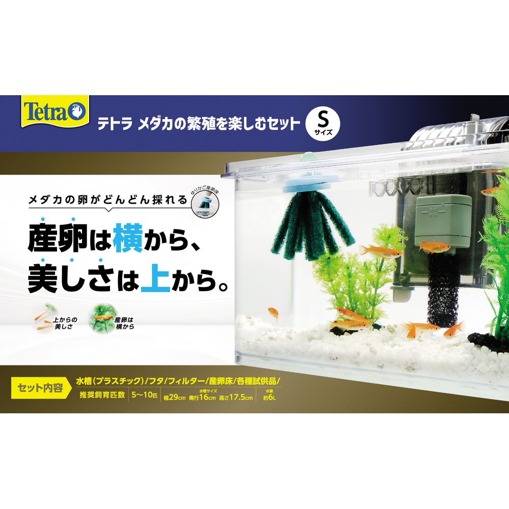 Spectrum Brands Japan Tetra Medaka Breeding Enjoyment Set S