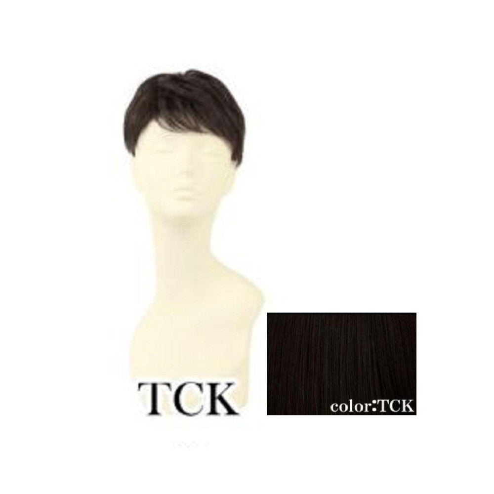Priscilla Men's 5-Minute Wig Layered Short Heat Resistant