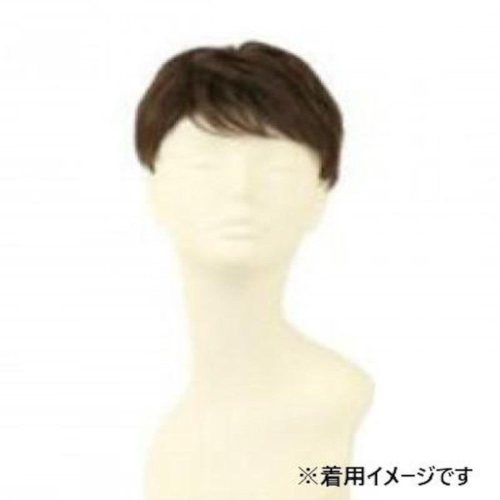 Priscilla Men's 5-Minute Wig Layered Short Heat Resistant
