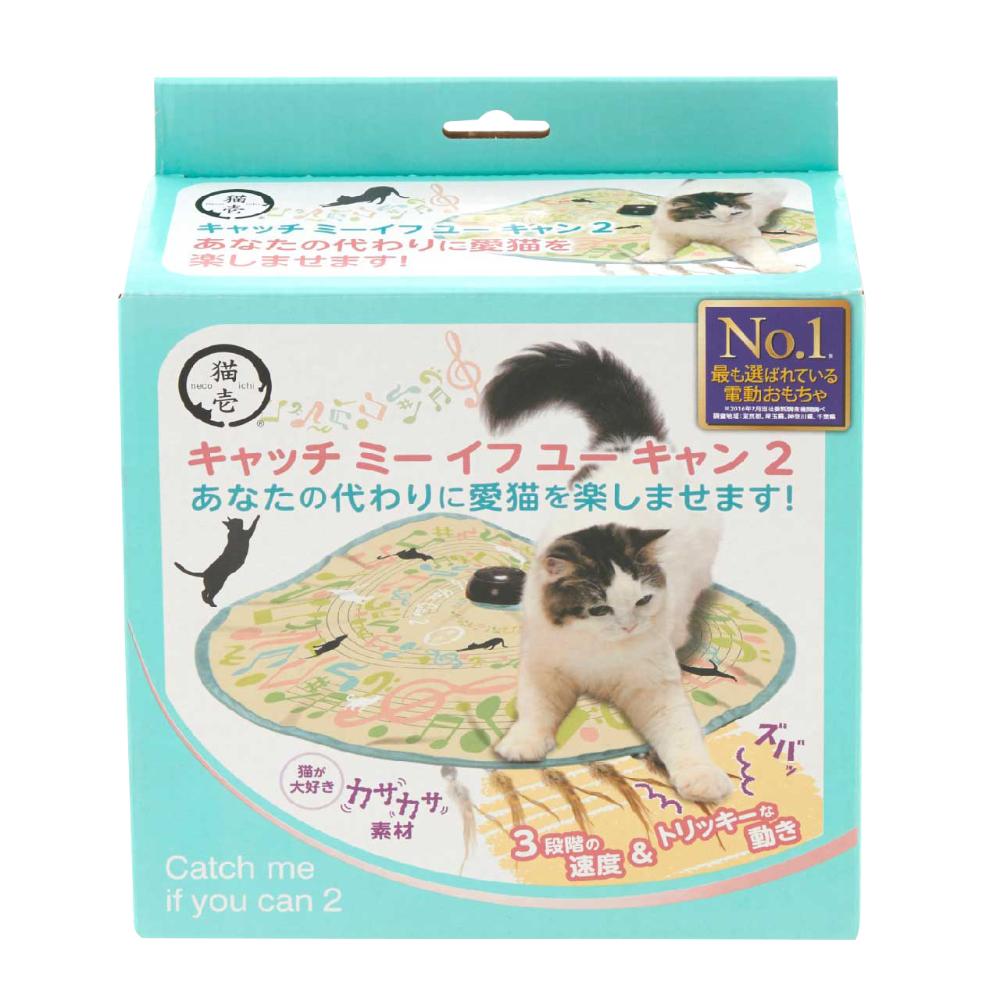 Catch Me If You Can 2 Cat and Notes