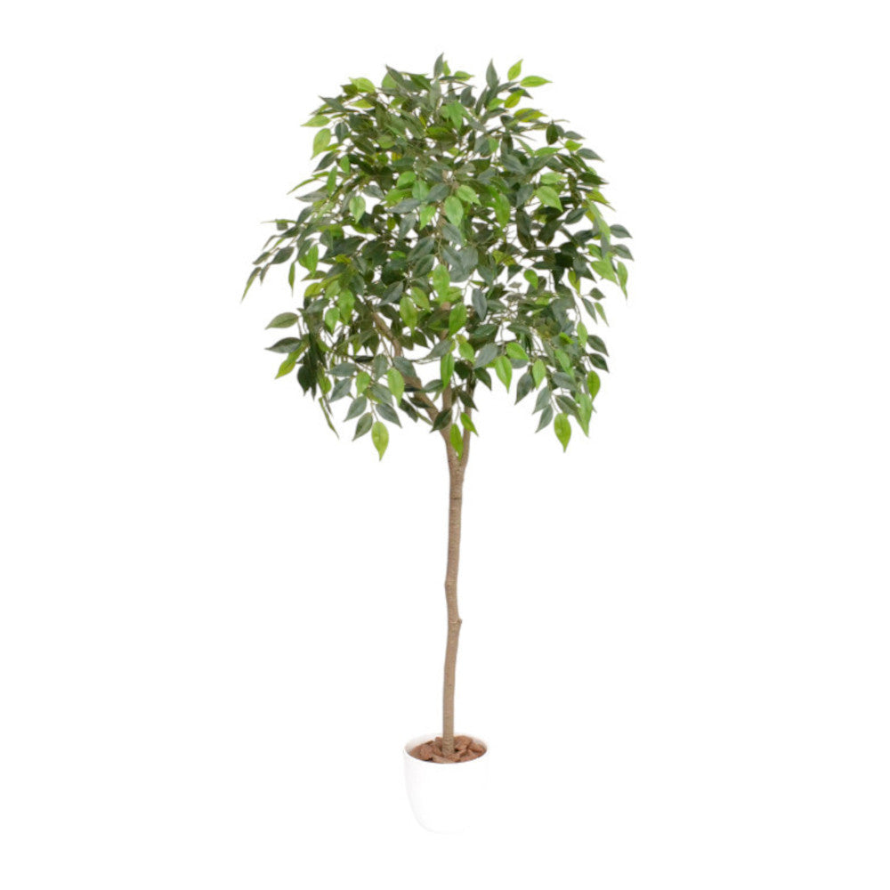Photocatalytic Interior Green - Benjamin
