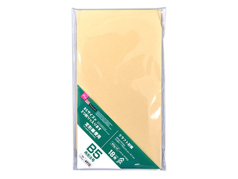 Craft Envelope (Type 8, Fits B5 Folded in 3, 18 Pieces)
