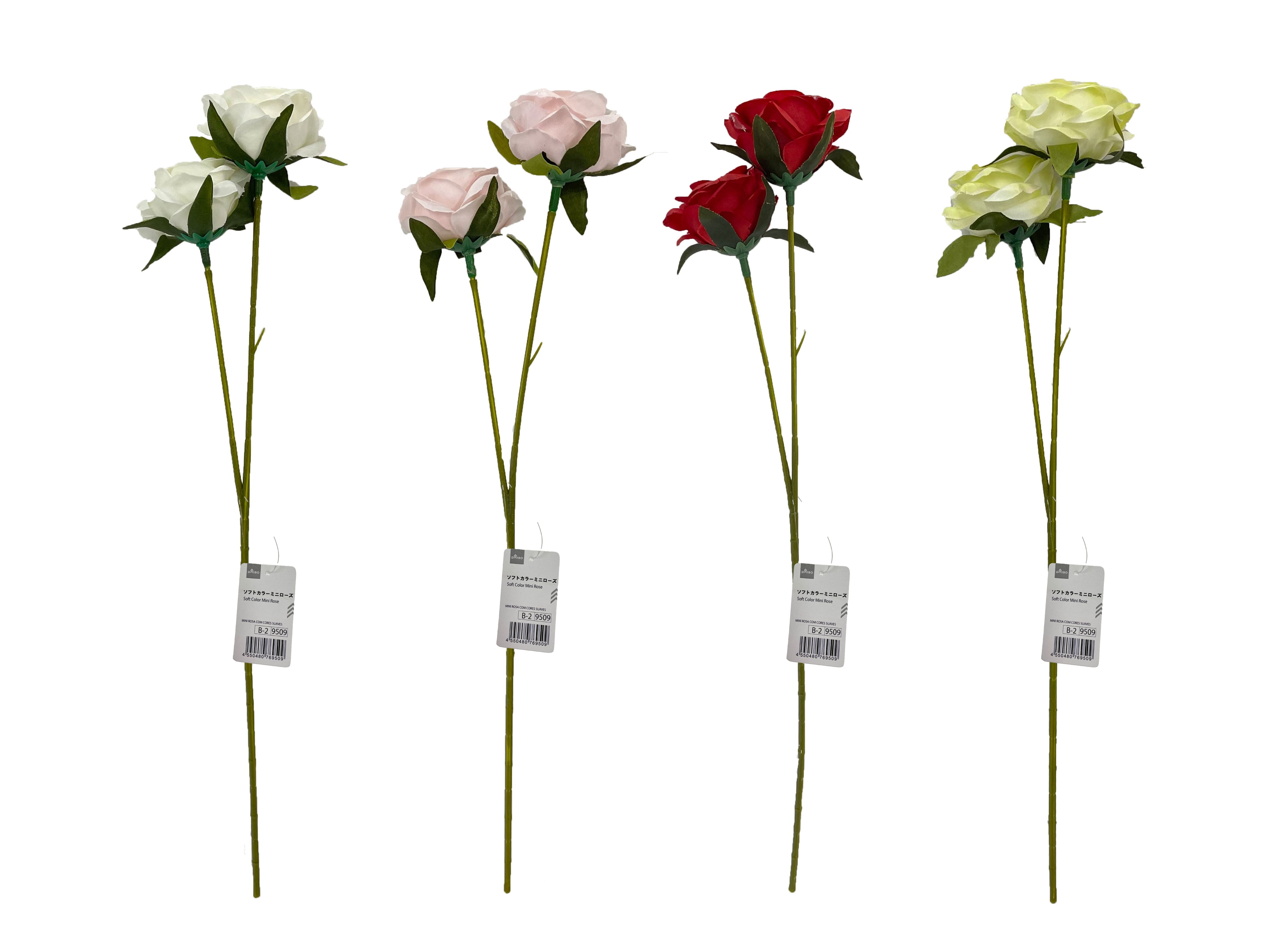 Soft Color Mini Rose