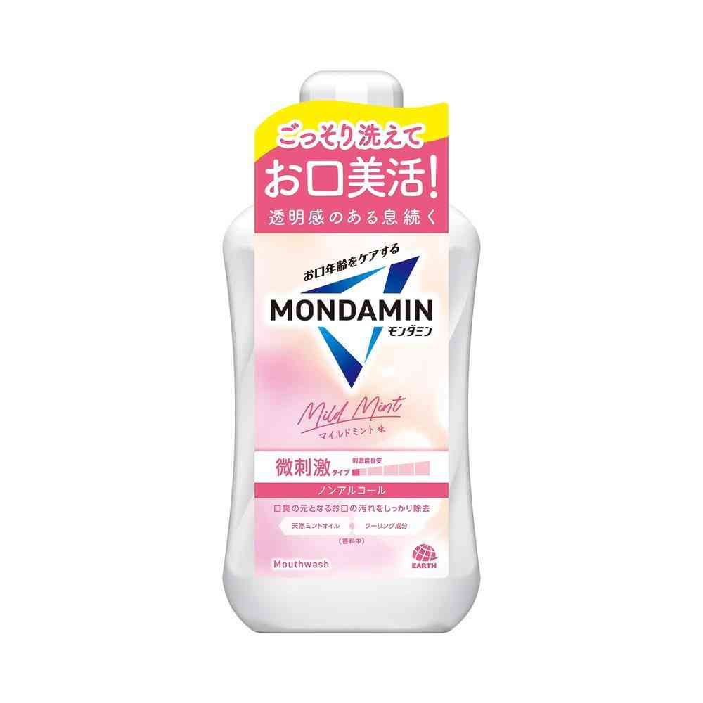 Earth Chemical Mondamin Mild Mint 1000ml