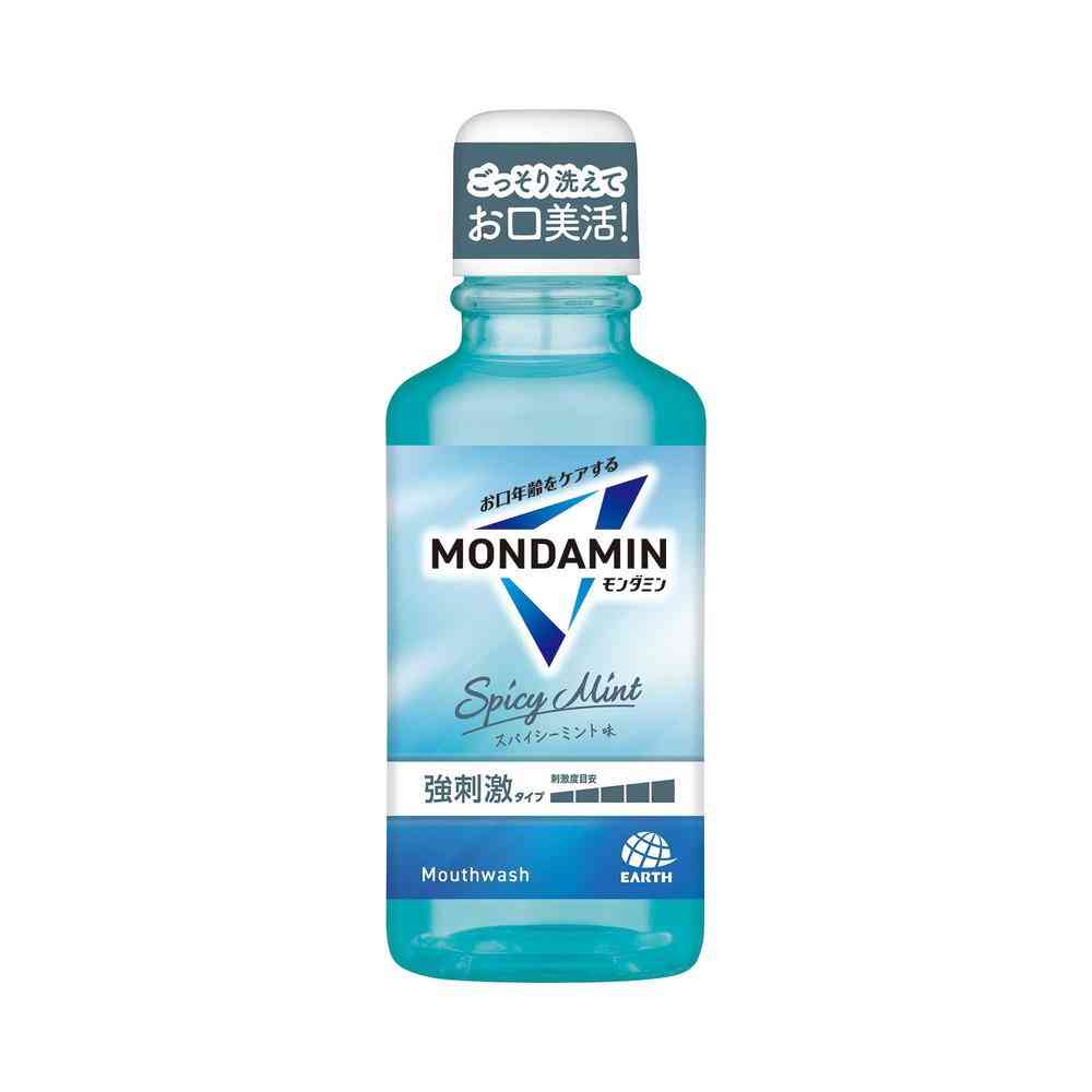 Earth Chemical Mondamin Spicy Mint 100ml