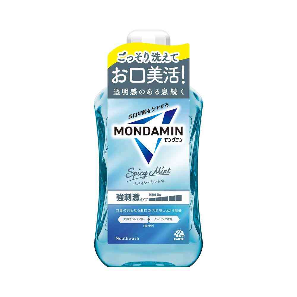 Earth Chemical Mondamin Spicy Mint 1000ml