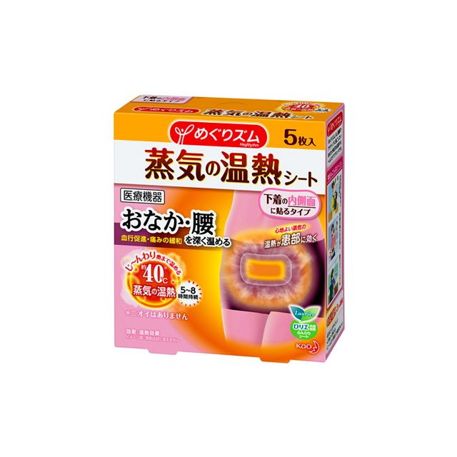 Kao Megurizm Steam Heat Sheet for Inside Underwear, 5 Count