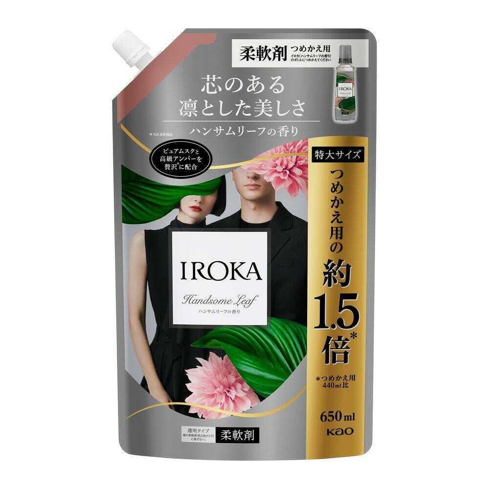 Kao IROKA Handsome Leaf Spout 650ml