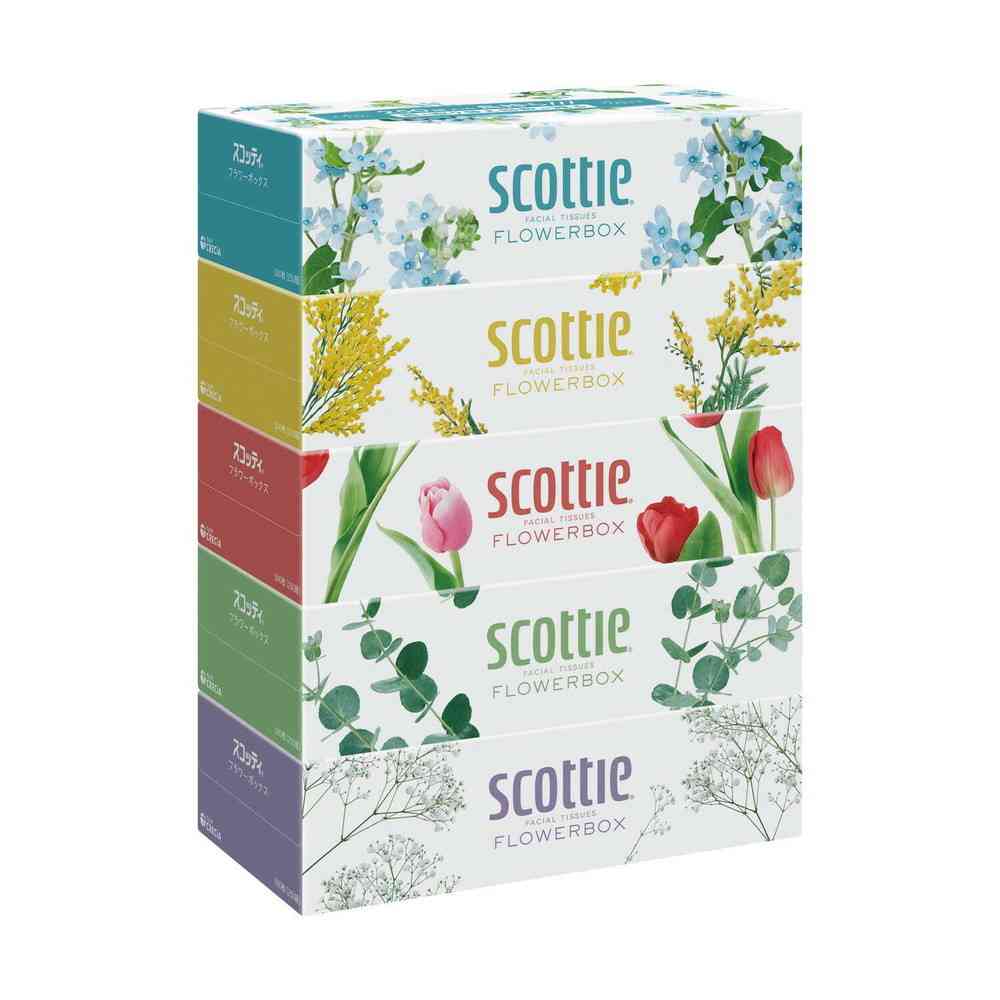 Kleisia Scottie Tissue Flower Box 250W x 5 Packs