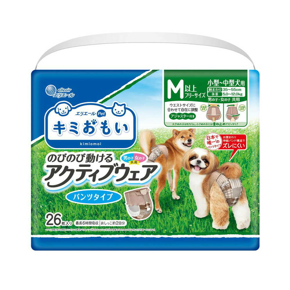 Daio Paper Kimiomoi Active Wear M-L 26 Sheets