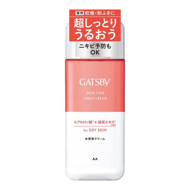 Mandom Gatsby Medicated Skin Care Aqua Cream (200ml)