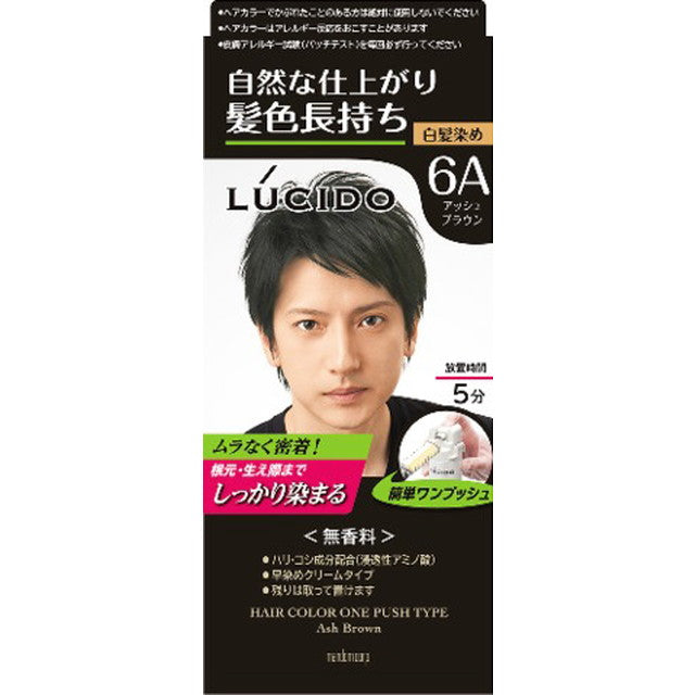 LUCIDO One Push Care Color Ash Brown