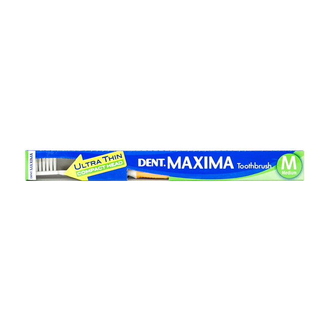 Lion DENT Maxima M (Medium)