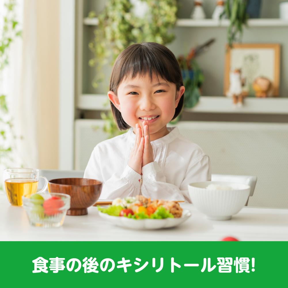 Lotte Xylitol Tablets (Shimajiro) 30g