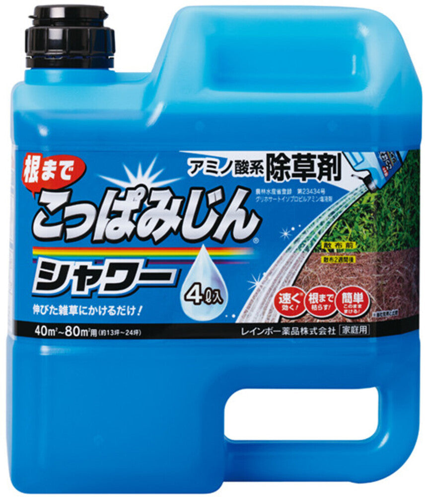 Rainbow Chemicals Coppa Mijin Shower 4L