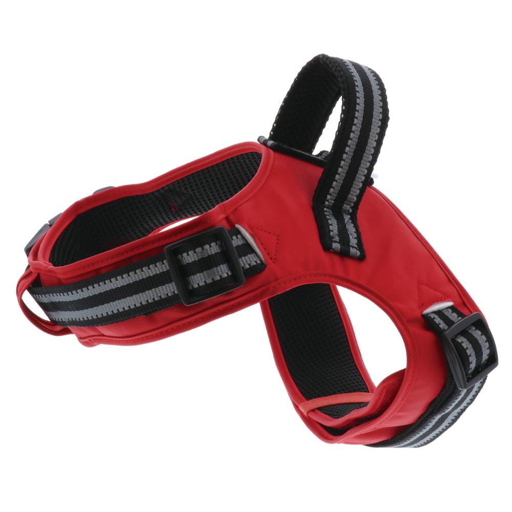 Love Harness L Red