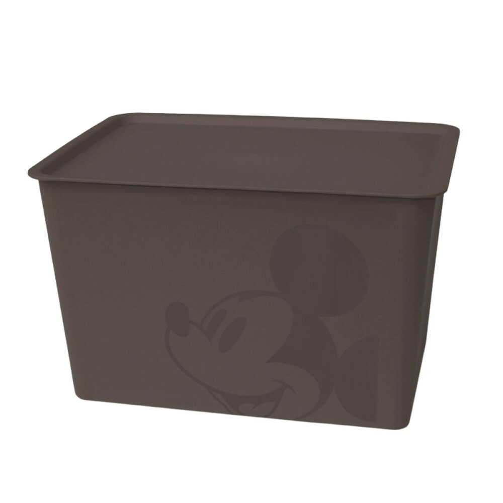 Nishiki Kasei Mickey Mouse Square Box Large Brown