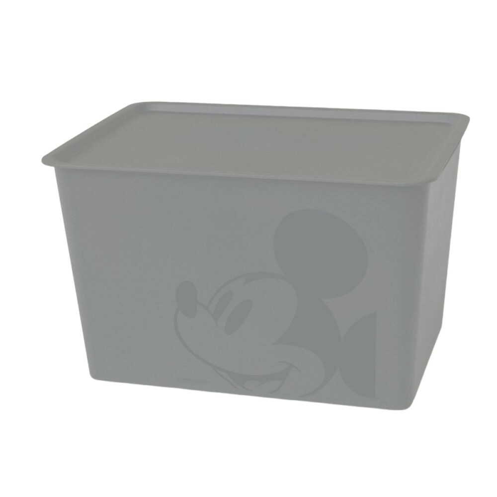 Nishiki Kasei Mickey Mouse Square Box Large Gray