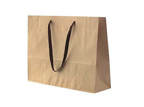 Craft Paper Bag (Horizontal, Shoulder Type)