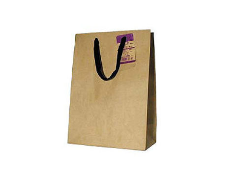 Craft Paper Bag Embossed (Medium)