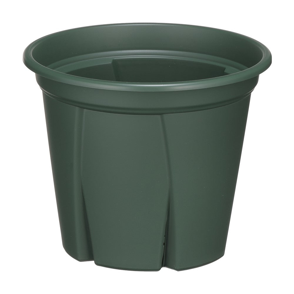 Appleware Strong Roots 5号 Green