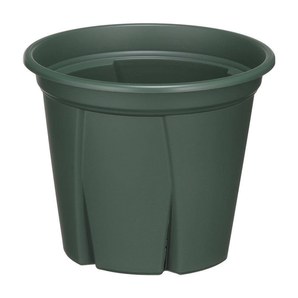 Appleware Strong Roots 6号 Green