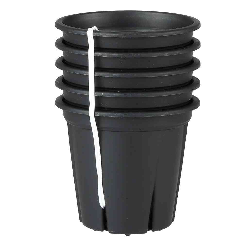 Appleware Root Strong 3 Black 5-Pack