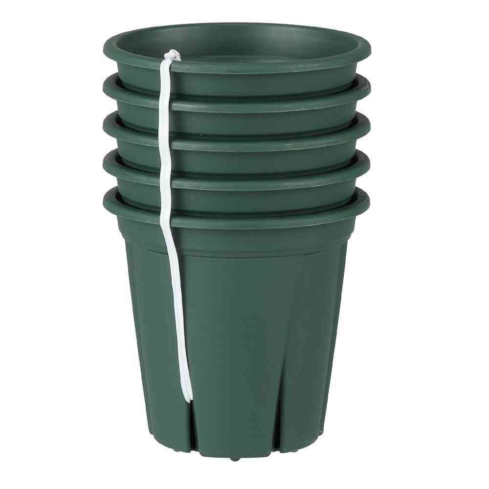 Appleware Root Strong 3 Green 5-Pack