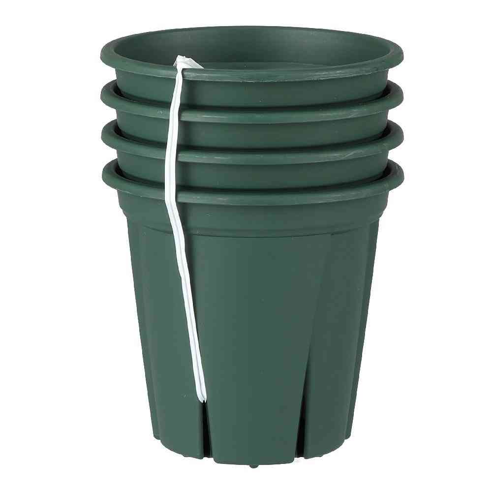 Appleware Root Strong 3.5 Green 4-Pack
