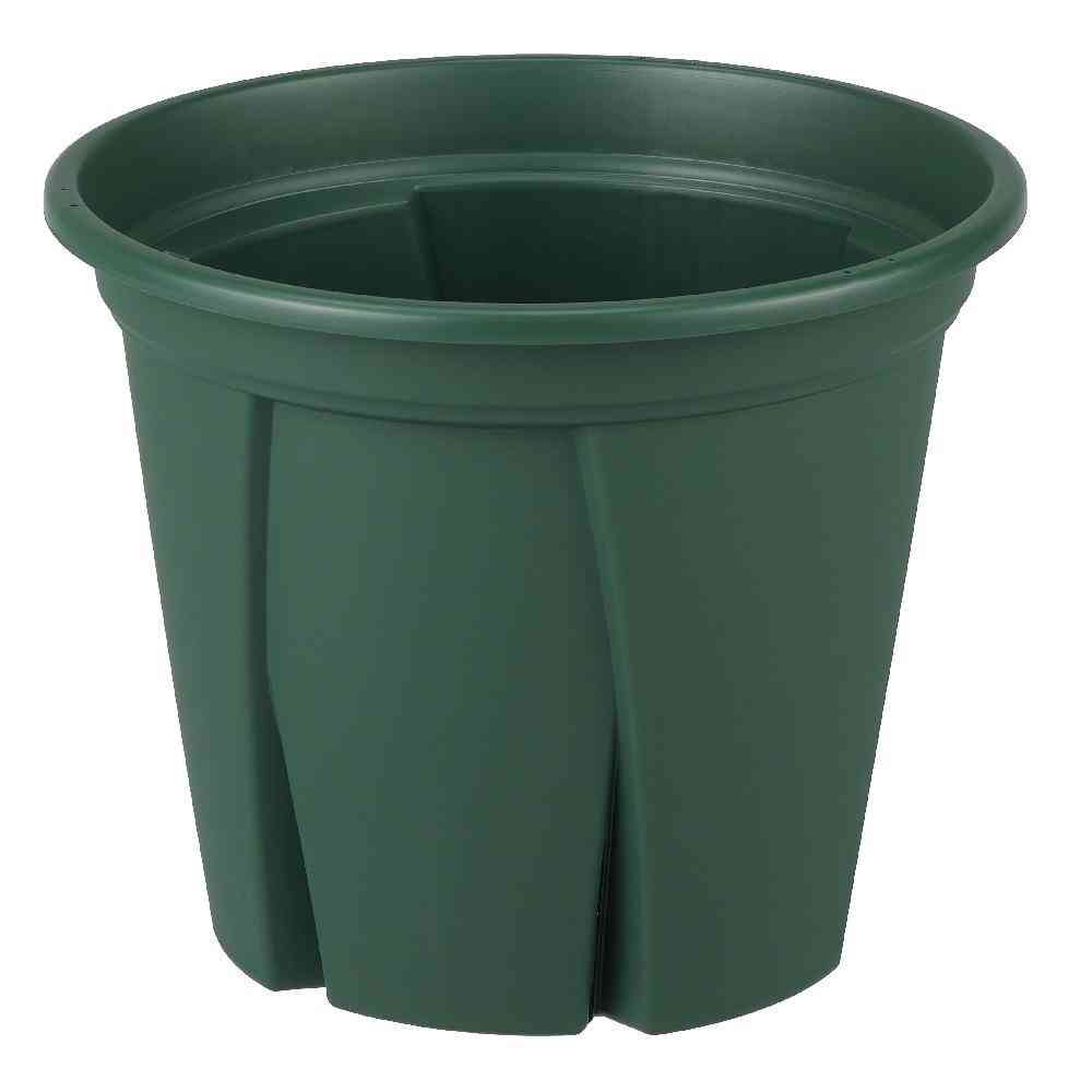 Appleware Root Strong 12 Green