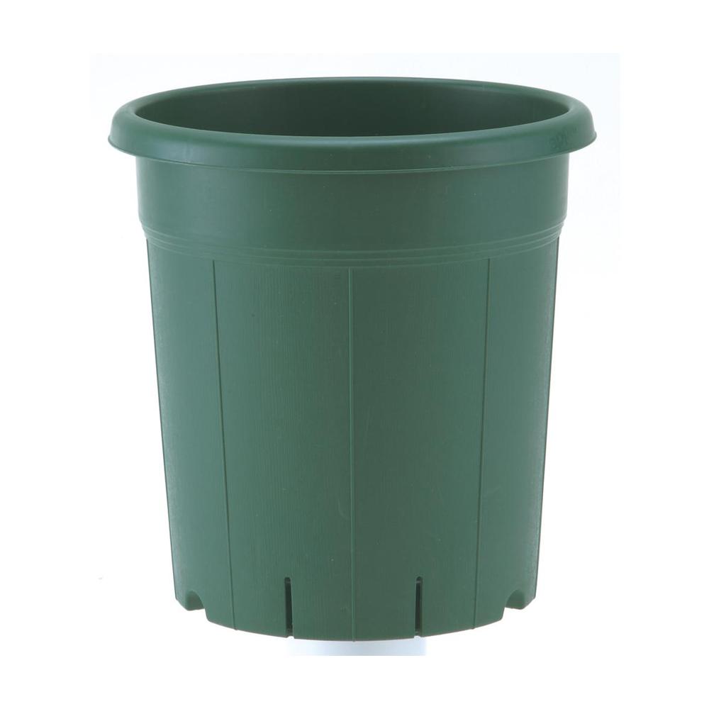 Appleware Rose Pot Green