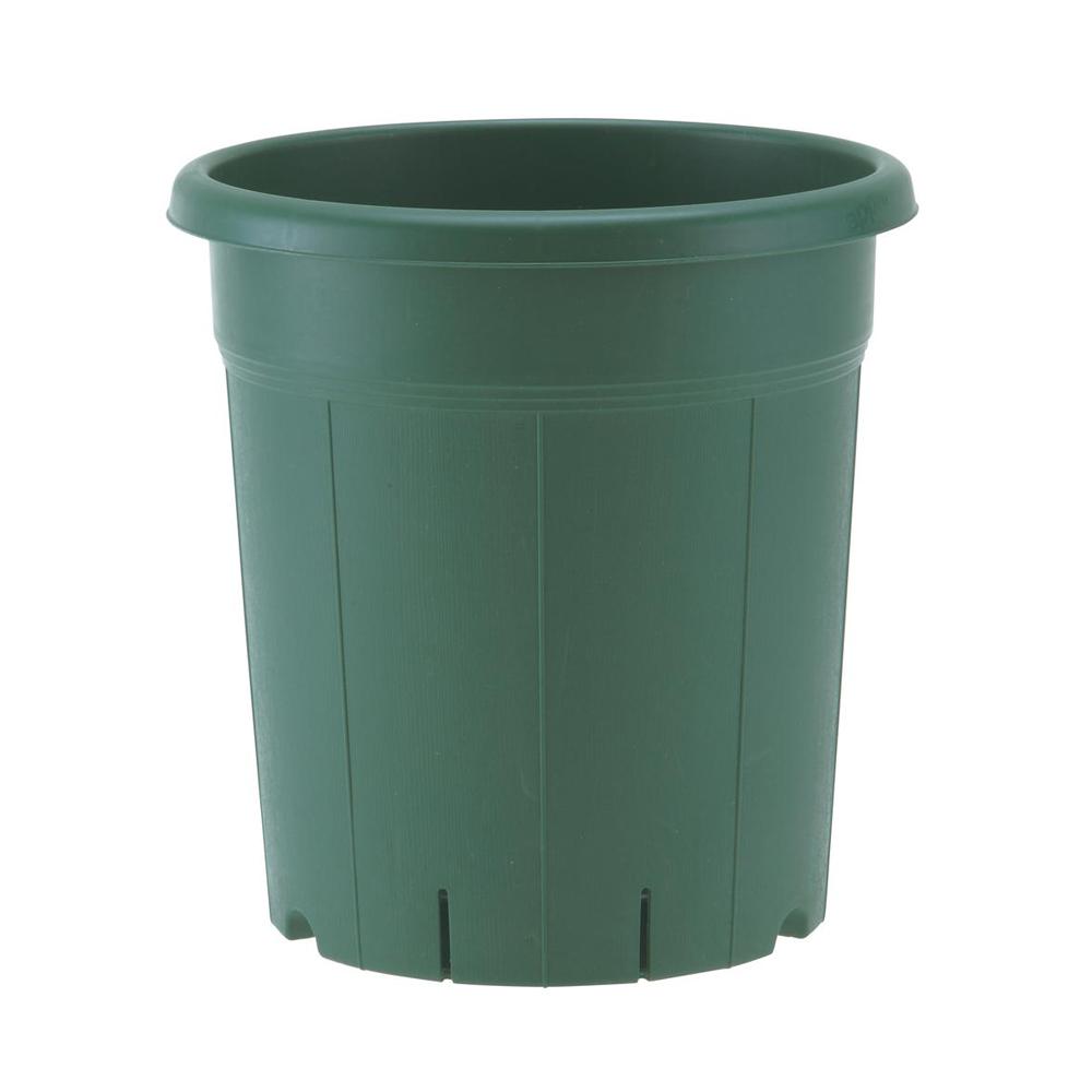 Appleware Rose Pot Green