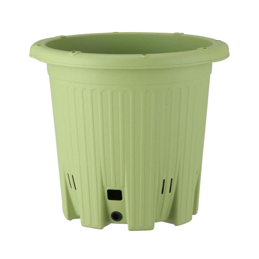 Appleware Easy Garden Salad Green