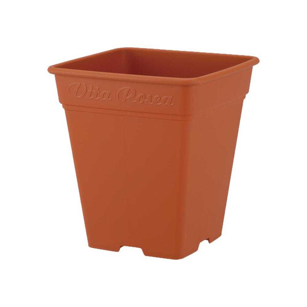 Appleware Rosea Square Brown
