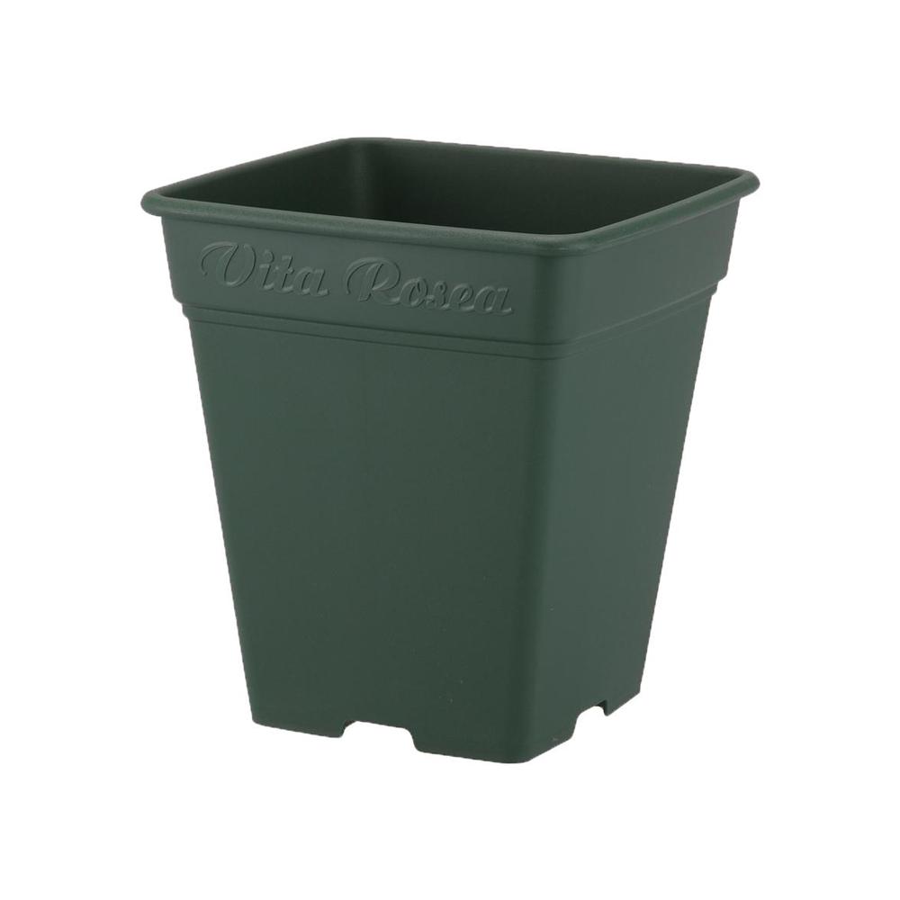 Appleware Rosea Square Green