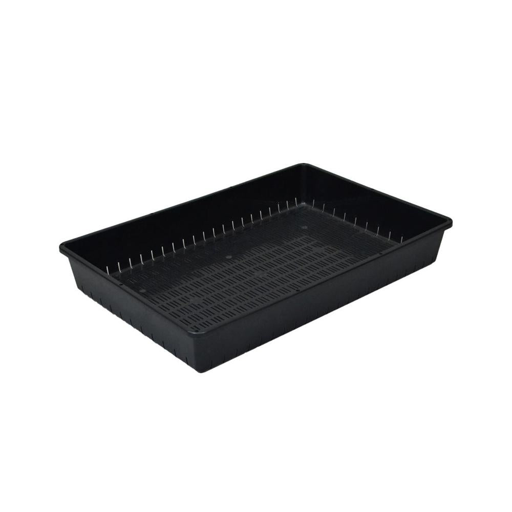 Appleware Seedling Container Black