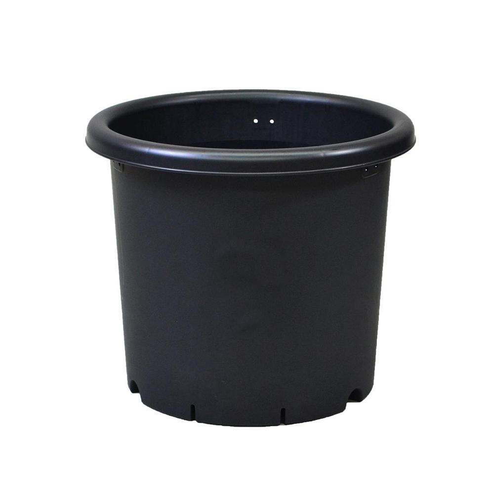 Appleware Kiku Pot Black 6号