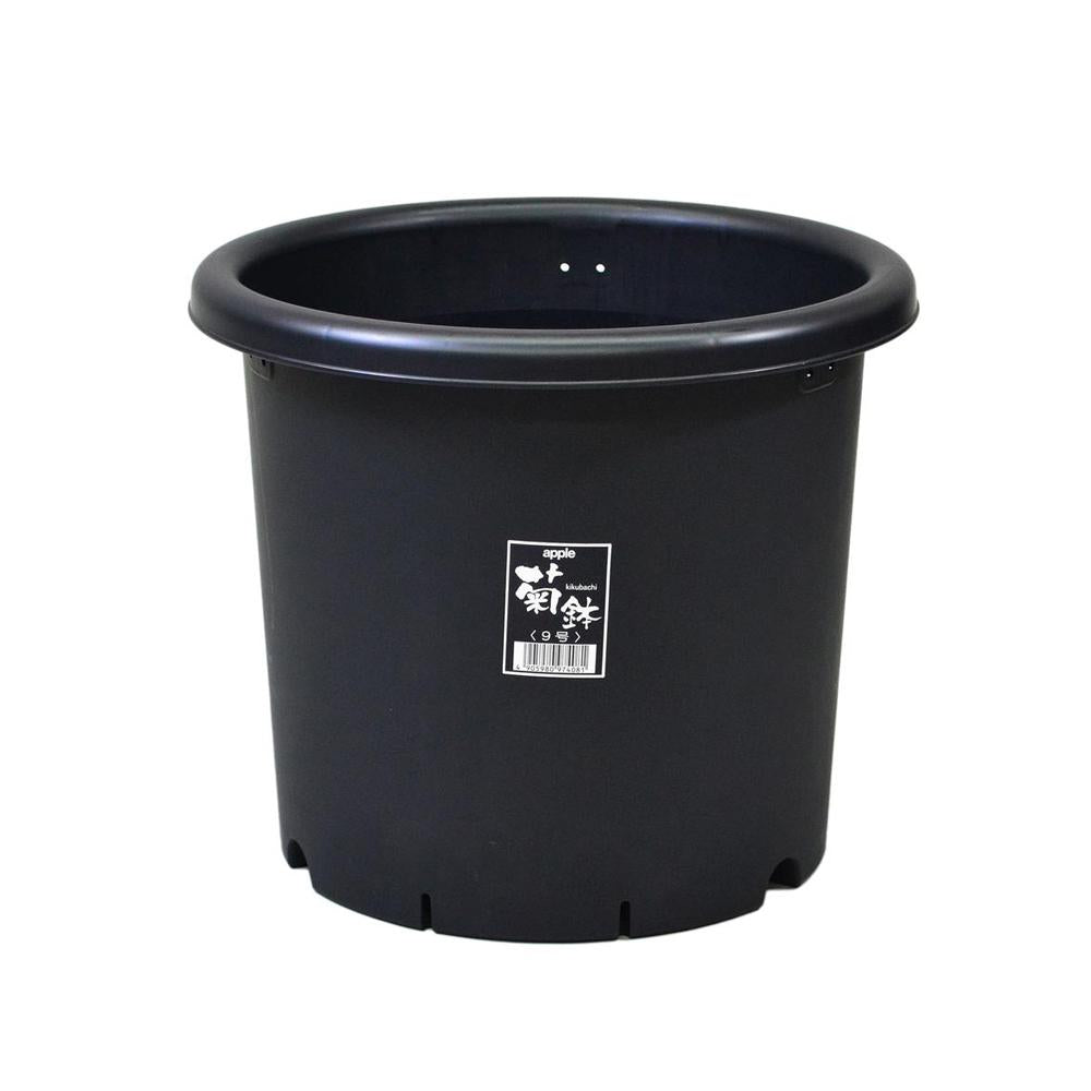 Appleware Kiku Pot Black 9号